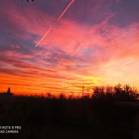 Le Zampolle B & B Colà Exteriér fotografie