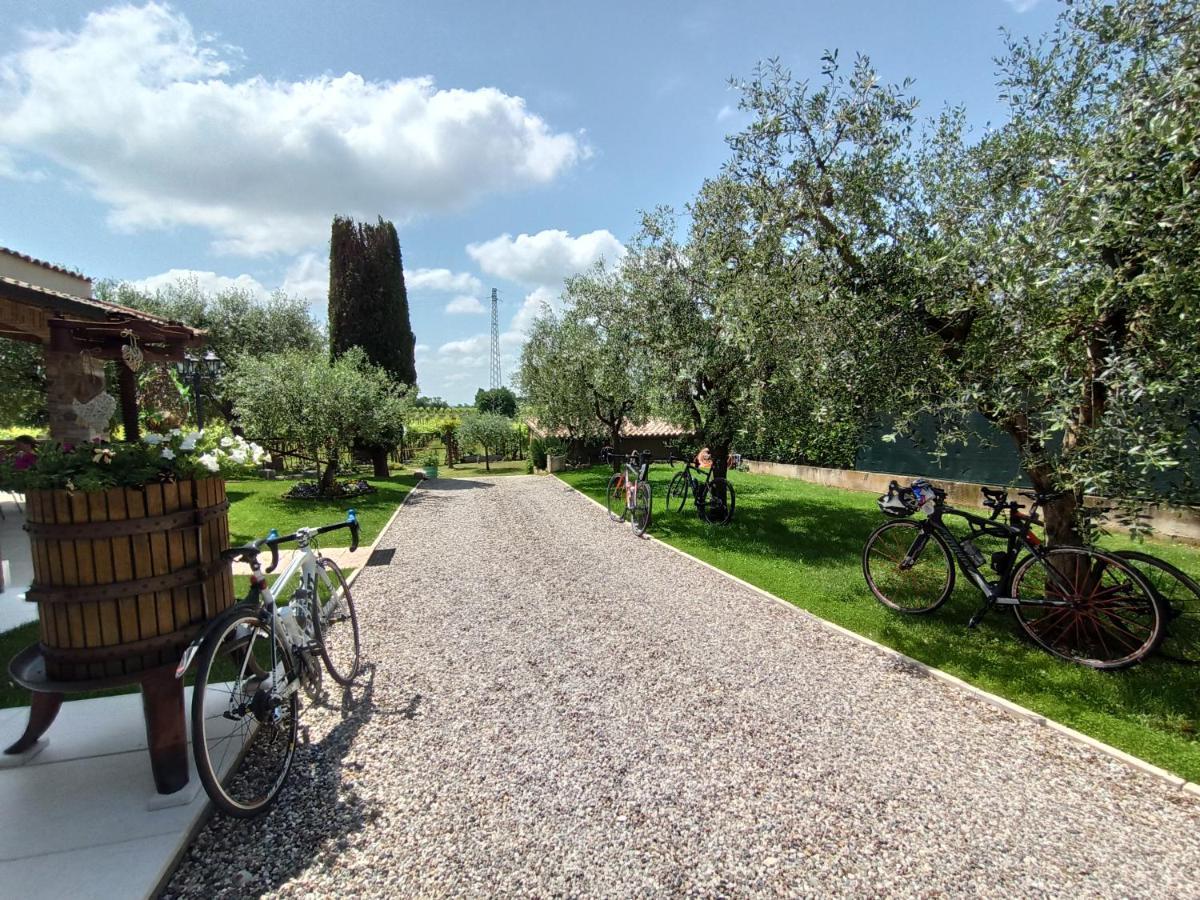 Le Zampolle B & B Colà Exteriér fotografie