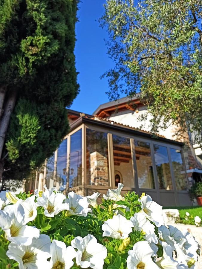 Le Zampolle B & B Colà Exteriér fotografie