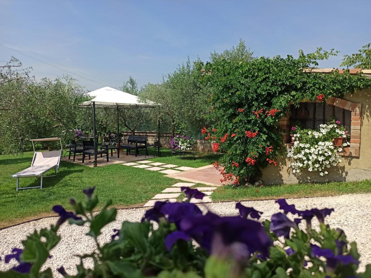 Le Zampolle B & B Colà Exteriér fotografie